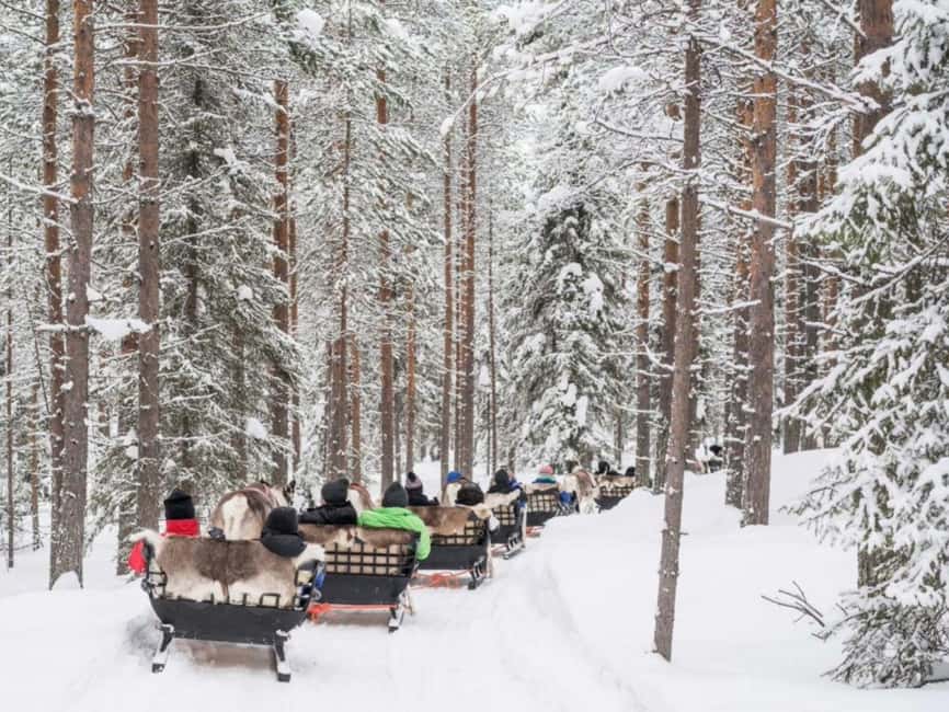 Rovaniemi: Reindeer Safari at 200-Year-Old Farm & Sled Ride - Who Should Book This (And Who Might Skip It)