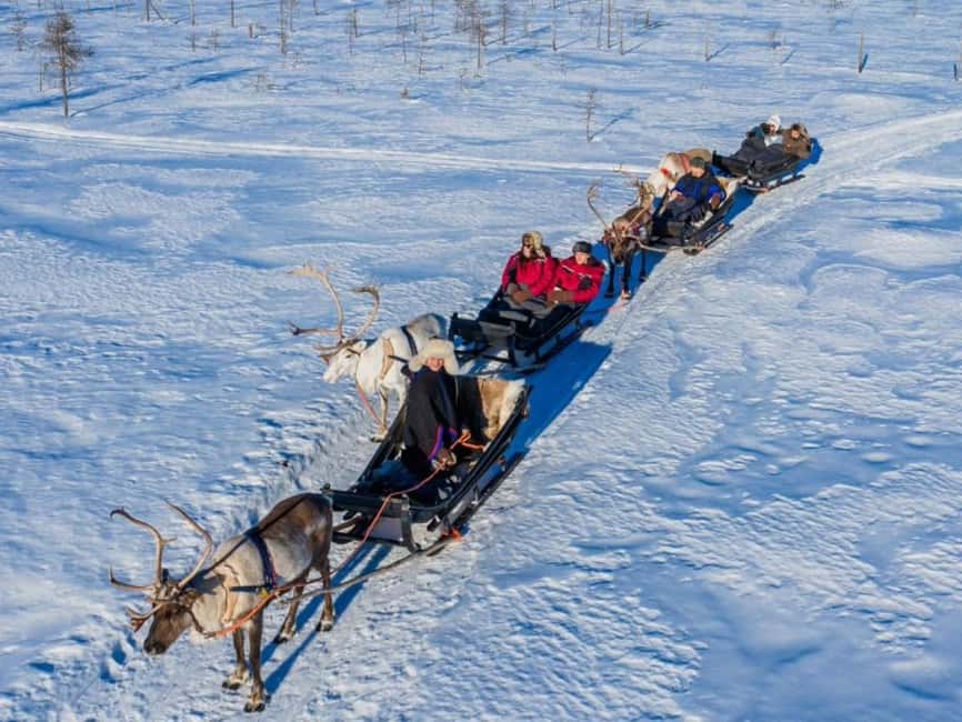 Rovaniemi: Reindeer Safari at 200-Year-Old Farm & Sled Ride - The 2025 Ford Tourneo Pickup: Comfort You’ll Notice