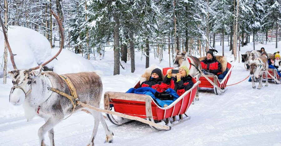Rovaniemi: Reindeer Sleigh Ride with Hot Drink and Cookies - A Reindeer Ride That Starts at a Working Farm, Not a Pop-Up