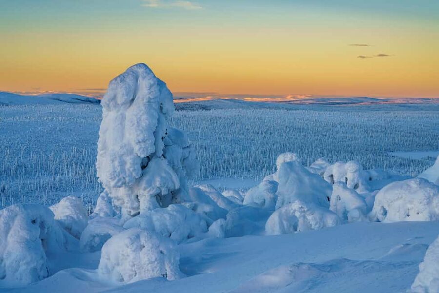 Rovaniemi: Riisitunturi Guided Hike with Photography and BBQ - Key Highlights You Should Know
