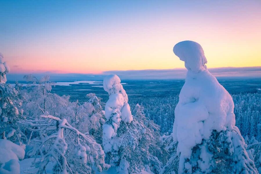Rovaniemi: Riisitunturi Guided Hike with Photography and BBQ - From Rovaniemi to Riisitunturi: The Van Ride That Sets the Tone