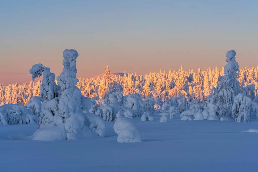 Rovaniemi: Riisitunturi Guided Hike with Photography and BBQ - Riisitunturi National Park: What the 4.3-Kilometer Snow Hike Feels Like
