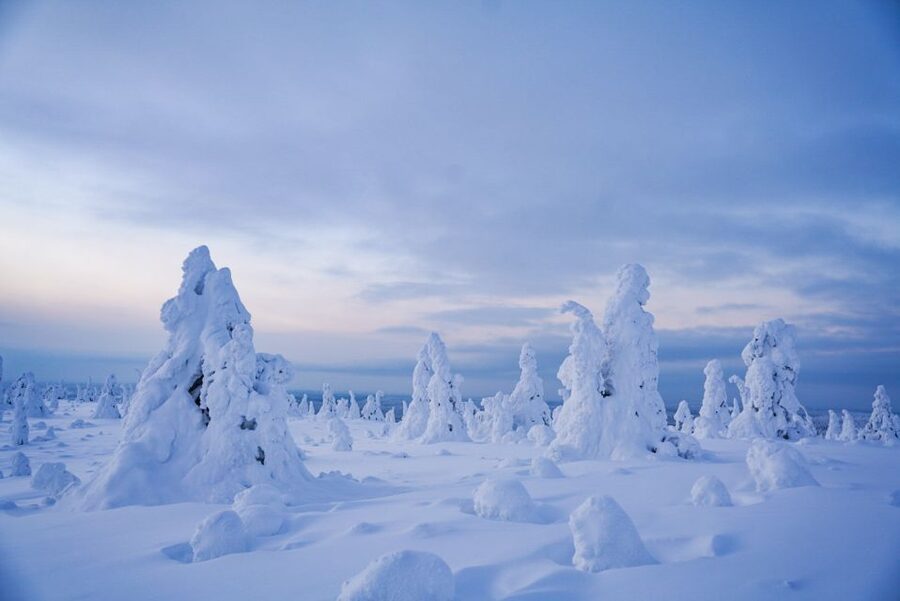 Rovaniemi: Riisitunturi National Park Day Trip with Lunch - Key things I’d put on your must-know list