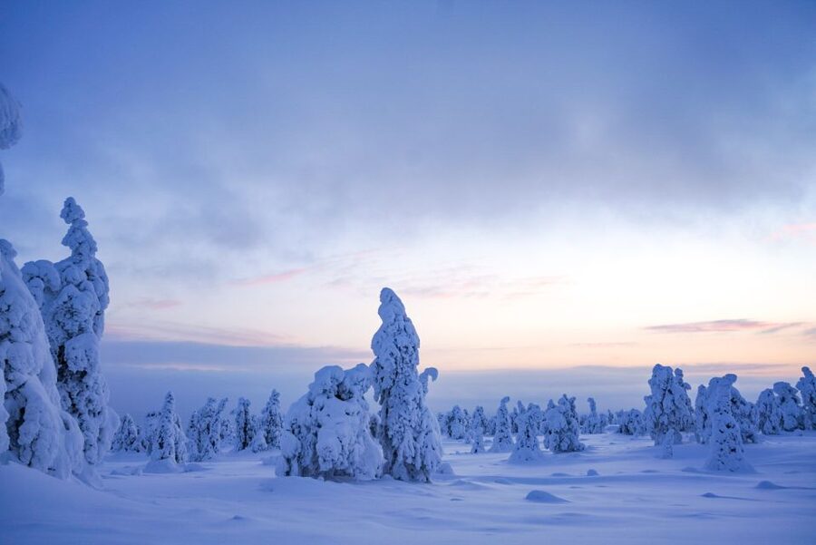 Rovaniemi: Riisitunturi National Park Day Trip with Lunch - Your 4 km Riisitunturi hike: snowshoes, viewpoints, and a guide who slows down for you