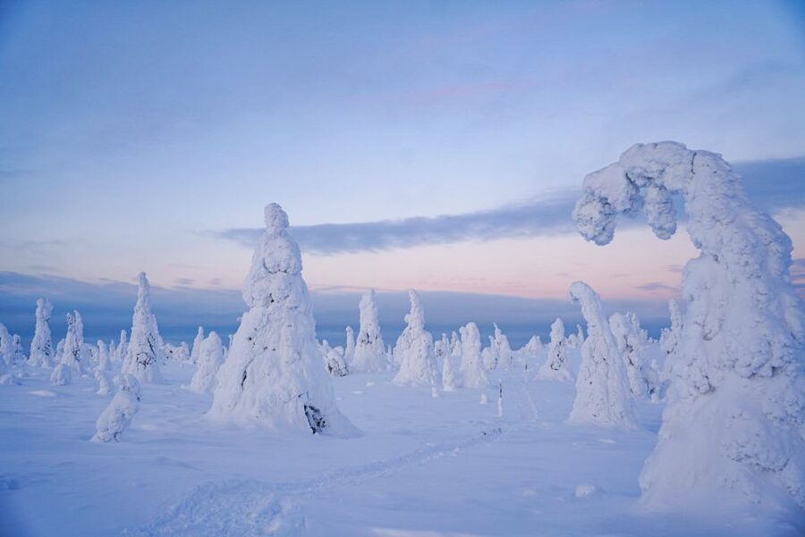 Rovaniemi: Riisitunturi National Park Day Trip with Lunch - Equipment and cold-weather comfort: what the tour provides vs. what you supply