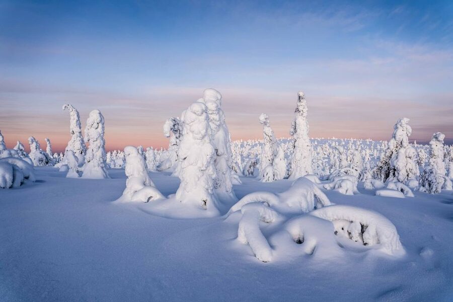 Rovaniemi: Riisitunturi National Park with Pro Photos & BBQ - Key highlights worth planning for