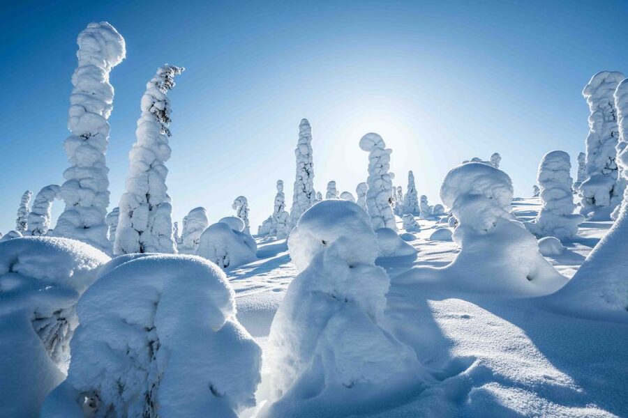 Rovaniemi: Riisitunturi National Park with Pro Photos & BBQ - What the tour provides for winter comfort (and what you should still bring)