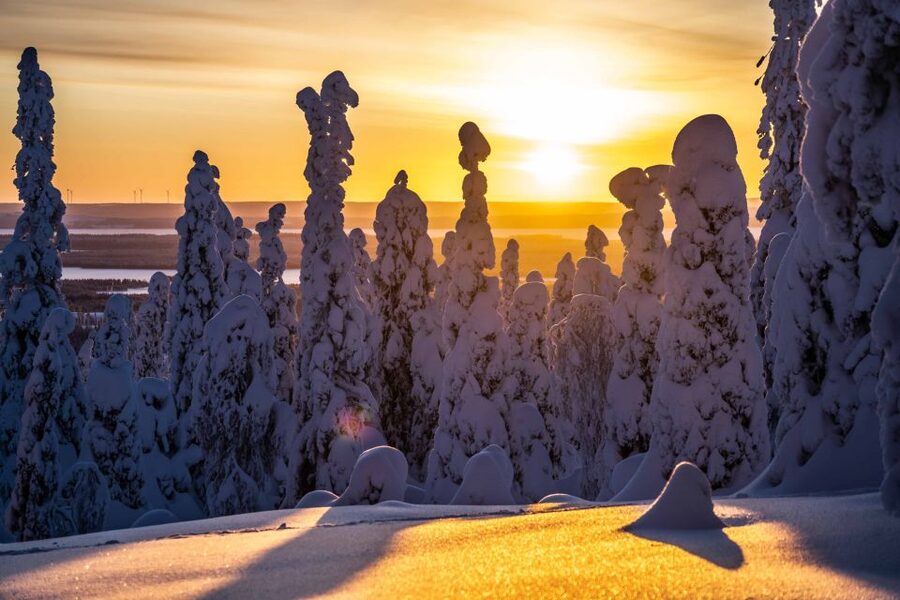 Rovaniemi: Riisitunturi National Park with Pro Photos & BBQ - Getting there from Rovaniemi: the timing and the small-group advantage