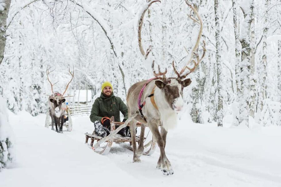 Rovaniemi: Saami Reindeer Farm Visit & Sleigh Ride - Door-to-Door Pickup From Your Rovaniemi Hotel