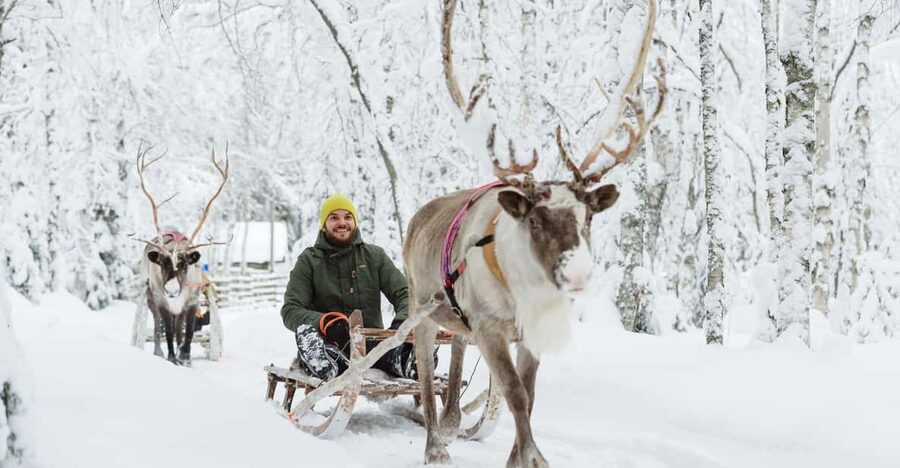Rovaniemi: Saami Reindeer Farm Visit & Sleigh Ride - Meeting the Herd: Feeding Reindeer Up Close
