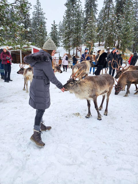 Rovaniemi: Saami Reindeer Farm Visit & Sleigh Ride - Smart Preparation for Cold Weather and Photos