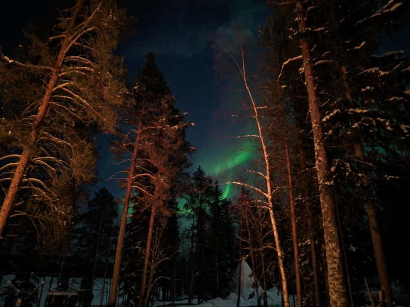 Rovaniemi:Santa Claus Village Guided Tour with Santa's gift - From Rovaniemi Pickup to Santa Claus Village