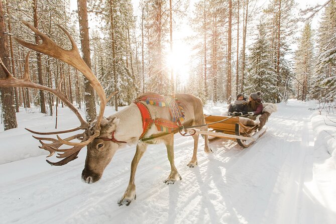 Rovaniemi Santa Claus Village Husky and Reindeer Tour VIP VAN - Santa Claus Village: meet Santa and use your 3 hours well