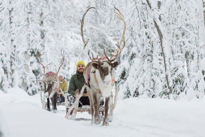 Rovaniemi Santa Claus Village Husky and Reindeer Tour VIP VAN - VIP comfort: what the best guides add to the experience
