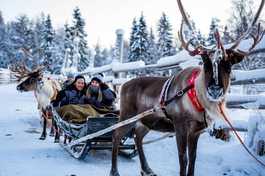 Rovaniemi: Santa Claus Village + Husky & Reindeer Sled Ride - Price and Value: Is $233 Per Person Worth It?