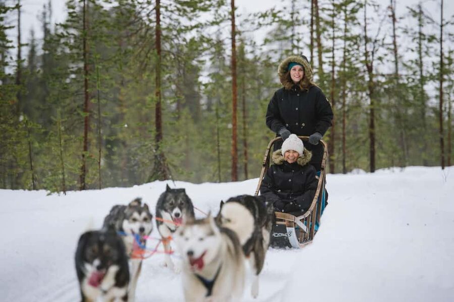 Rovaniemi: Santa Claus Village, Husky & Reindeer Tour - What the 6-hour schedule feels like in real life