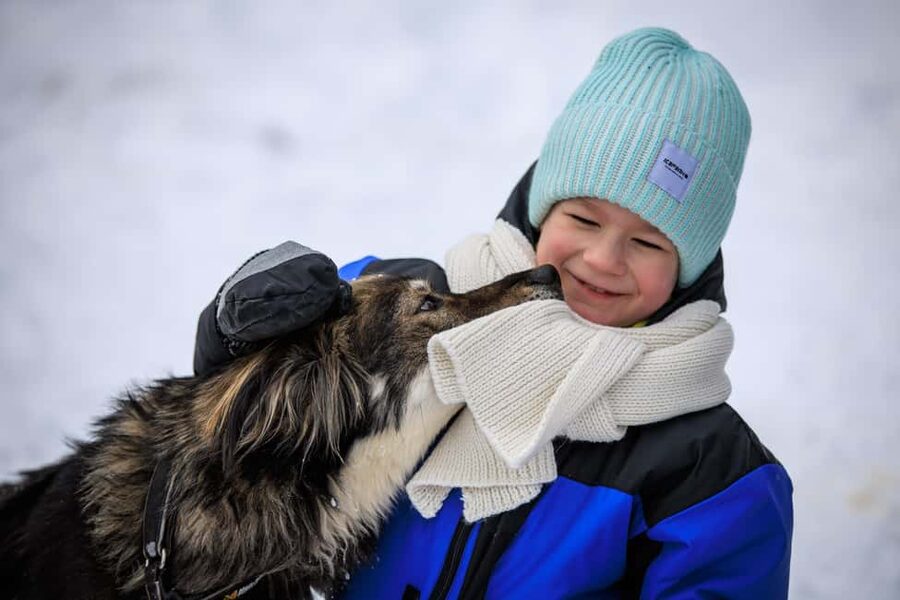 Rovaniemi: Santa Claus Village, Husky & Reindeer Tour - What to pack for this Lapland day (and what not to bring)