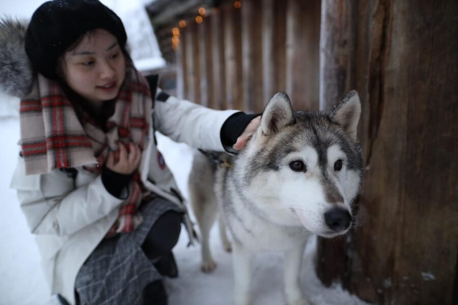 Rovaniemi: Santa Claus Village Tour Huskies & Reindeer ride - Small group and live guide: how the day stays smooth