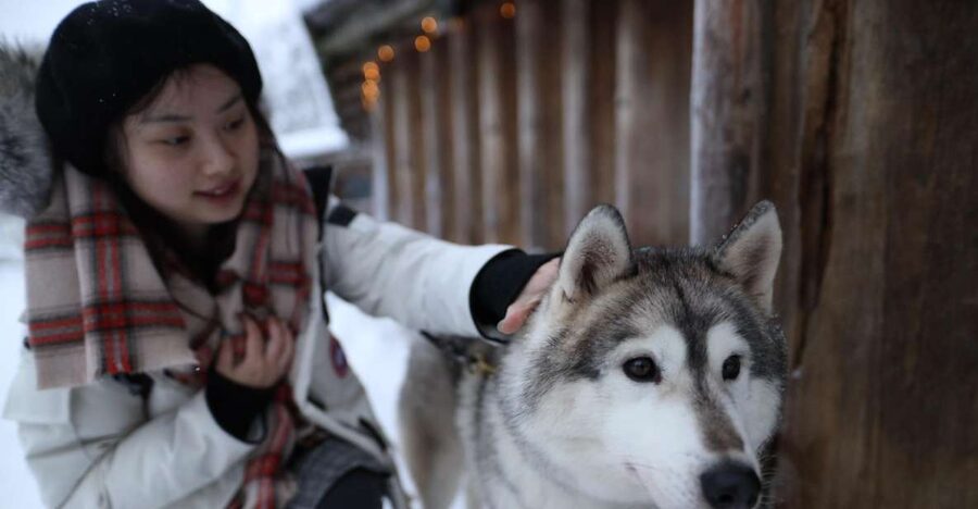 Rovaniemi: Santa Claus Village Tour Huskies & Reindeer Visit - Santa Claus Village visit: meeting Santa and the Arctic Circle postcard