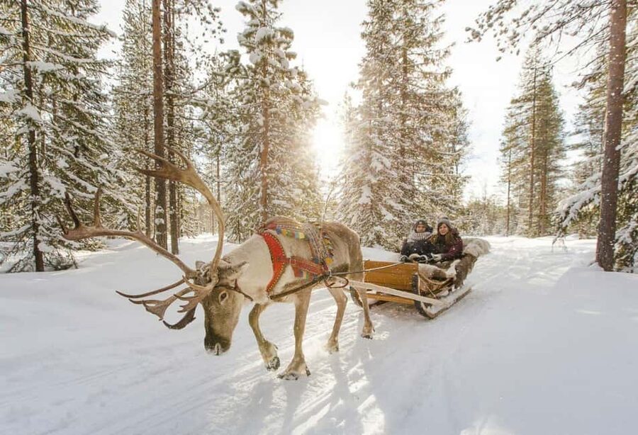Rovaniemi: Santa Claus Village with Husky & Reindeer Ride - Key things I think are worth your attention