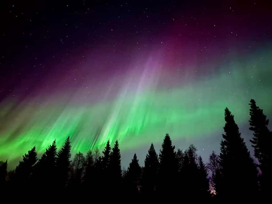 Rovaniemi: Santa's Reindeer and Husky Safari with Aurora BBQ - Evening Aurora Hunting: Two Spots Plus a Warm Kota BBQ