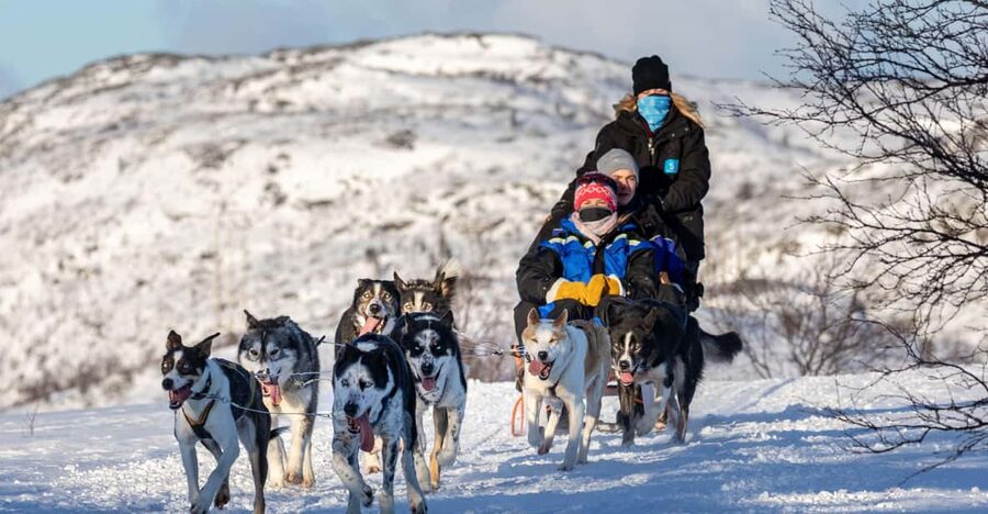 Rovaniemi: Santa's Village, Husky, & Reindeer Sled Ride - Husky farm safari: sled time, kennel time, and why timing matters