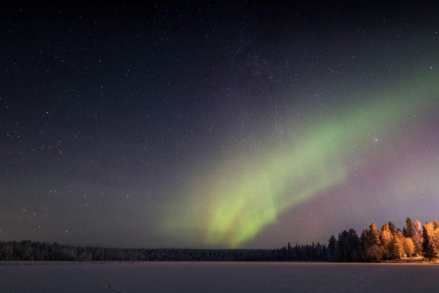 Rovaniemi: Sauna & Ice Swimming Tour with Dinner and Aurora - Price and value: is $184 per person worth it?