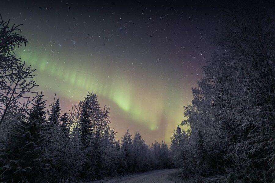 Rovaniemi: Sauna & Ice Swimming Tour with Dinner and Aurora - Who should do this tour, and who should skip it
