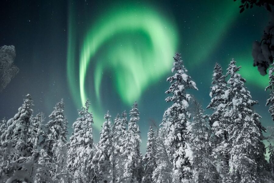 Rovaniemi: Search for Northern Lights Snowmobiling Trip - Who this is perfect for, and who should skip it