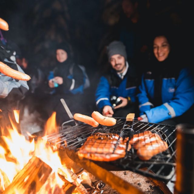 Rovaniemi: Search for Northern Lights Snowmobiling Trip - How the 2-hour timing actually plays out