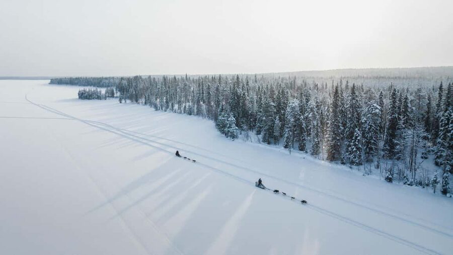 Rovaniemi: Self-Driving Husky Tour 7-kilometers - Why this self-driving husky safari works in Rovaniemi