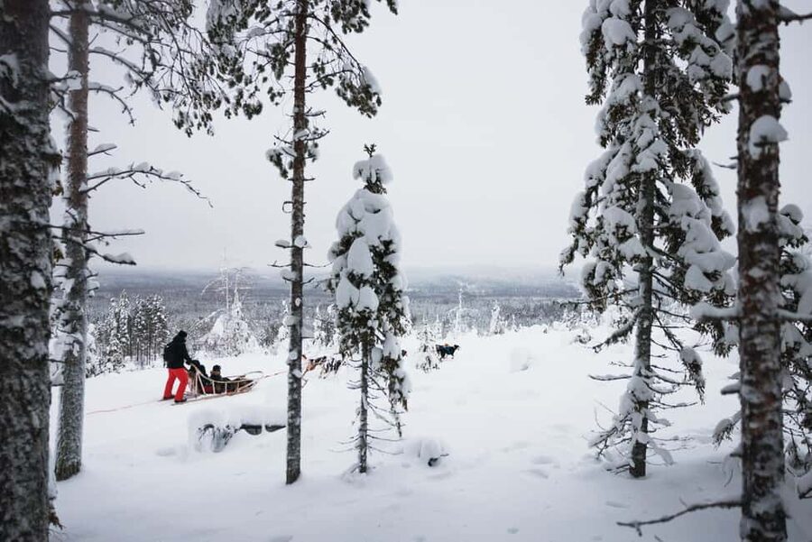 Rovaniemi: Self-Driving Husky Tour 7-kilometers - Who this tour fits best, and who should skip it