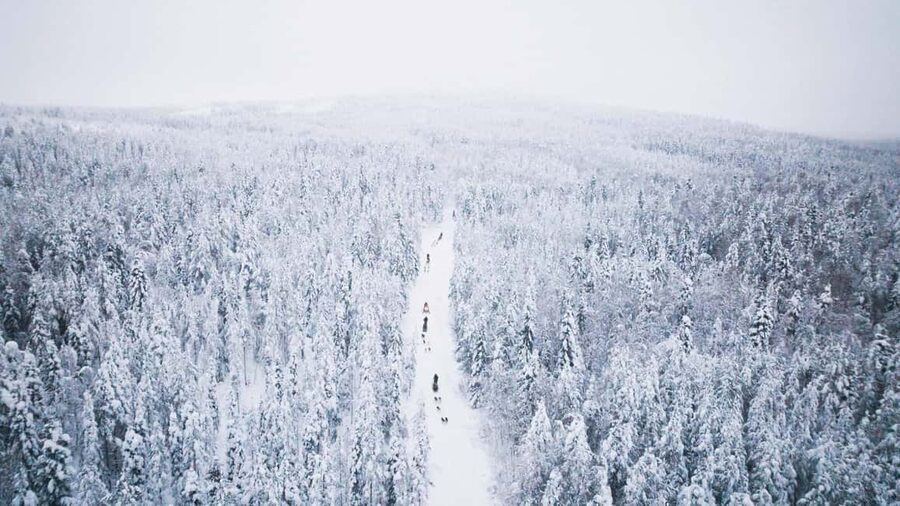 Rovaniemi: Self-Driving Husky Tour 7-kilometers - Practical tips so your day runs smoothly
