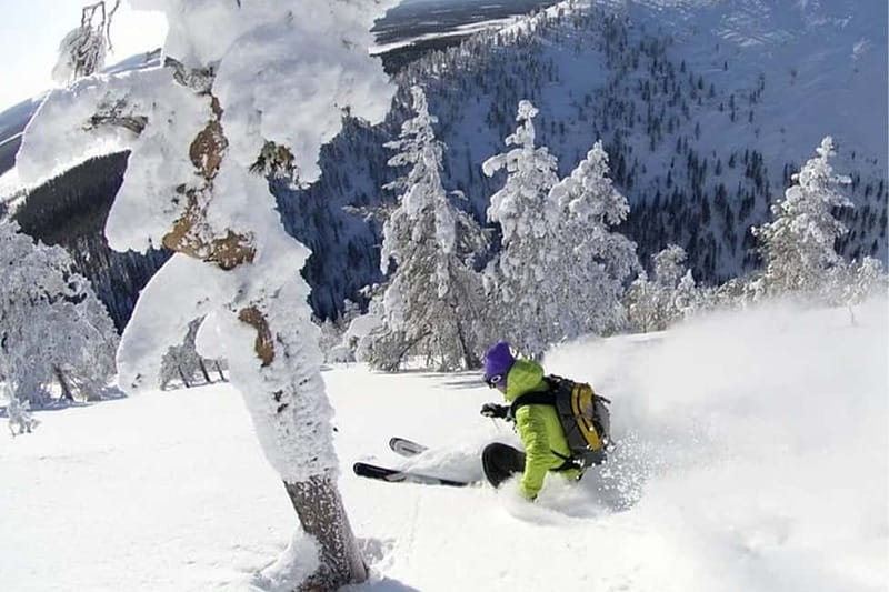 Rovaniemi: Slalom and Alpine Skiing - Slalom and alpine skiing: what your guide will likely focus on