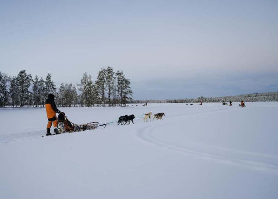 Rovaniemi: Small group Adults-Only 12-18km Husky Tour - Safety briefing at Bearhill Husky: where the driving confidence starts