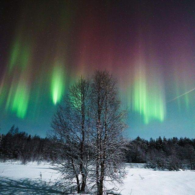 Rovaniemi: Small Group Aurora Hunt-full money back guarantee - The viewing rhythm: scan, move, and try again