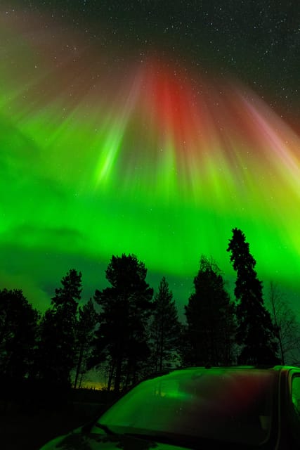 Rovaniemi: Small Group Northern Lights Guaranteed Sightings - Start-Time Flexibility in Rovaniemi: How to Keep Your Evening From Falling Apart