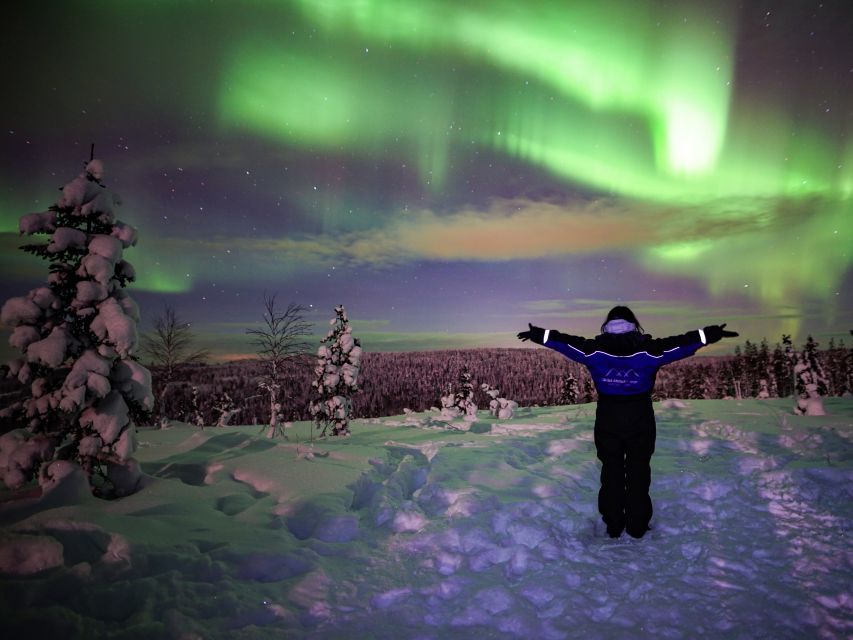 Rovaniemi: Small-Group Northern Lights Wilderness Tour - Fire-Cooked Snacks and the Hands-On Part Most People Forget