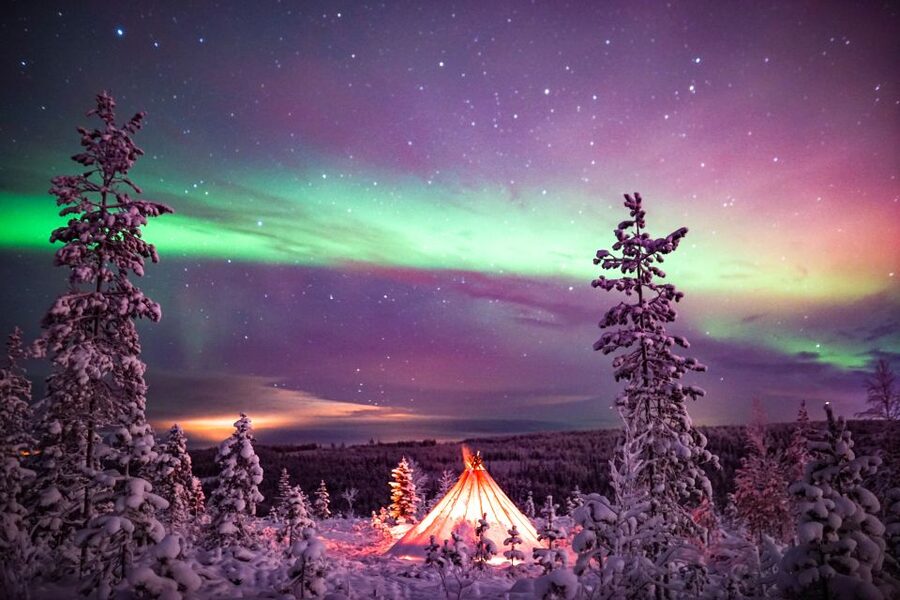 Rovaniemi: Small-Group Northern Lights Wilderness Tour - Professional Aurora Photos: What You Get and When They Arrive