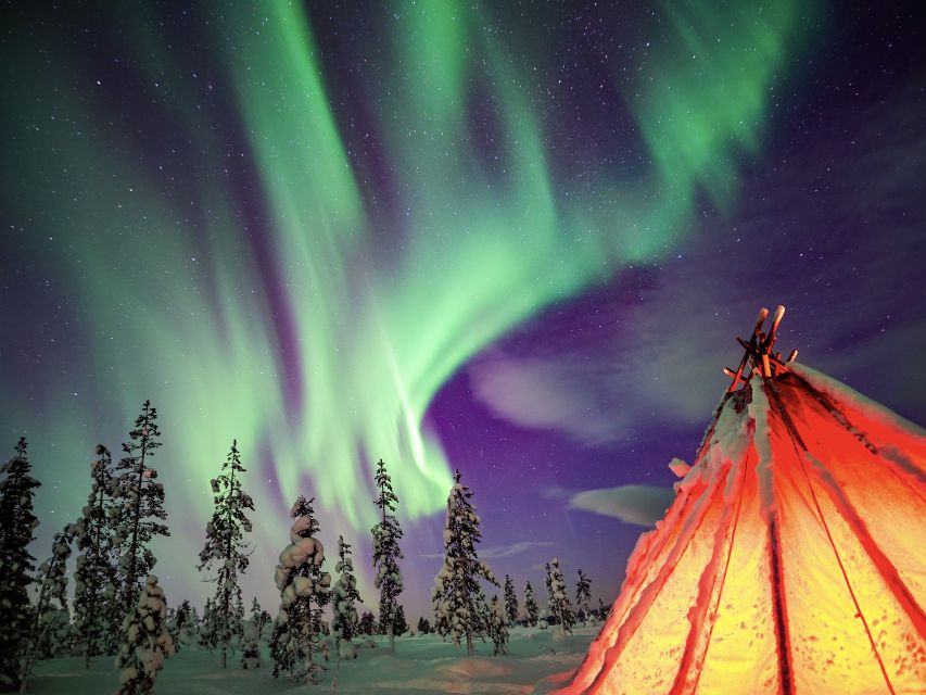 Rovaniemi: Small-Group Northern Lights Wilderness Tour - Weather Reality Check: What Happens When the Aurora Is Faint or Cloudy