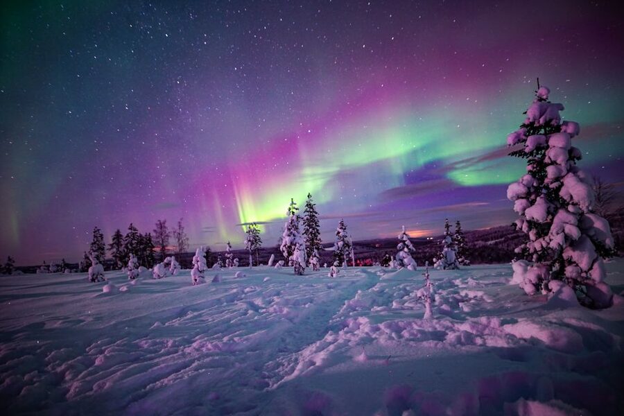 Rovaniemi: Small-Group Northern Lights Wilderness Tour - Group Size, Guide Energy, and the Small-Group Feel