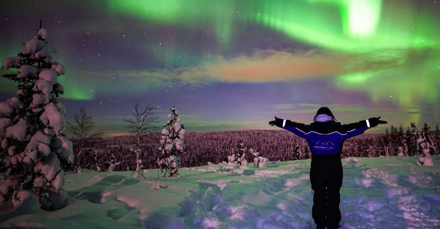 Rovaniemi: Small-Group Northern Lights Wilderness Tour - Price and Value: Is $136 Worth It for an Aurora Safari?