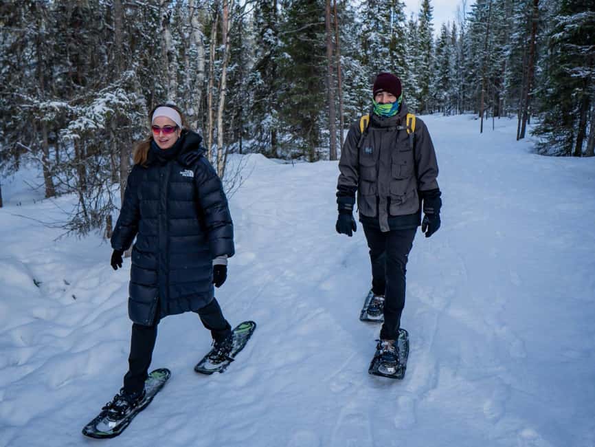 Rovaniemi: Small-Group Snowshoe Tour at Vikaköngäs & BBQ - Snowshoeing basics: thermal overalls, poles, and relaxed instruction