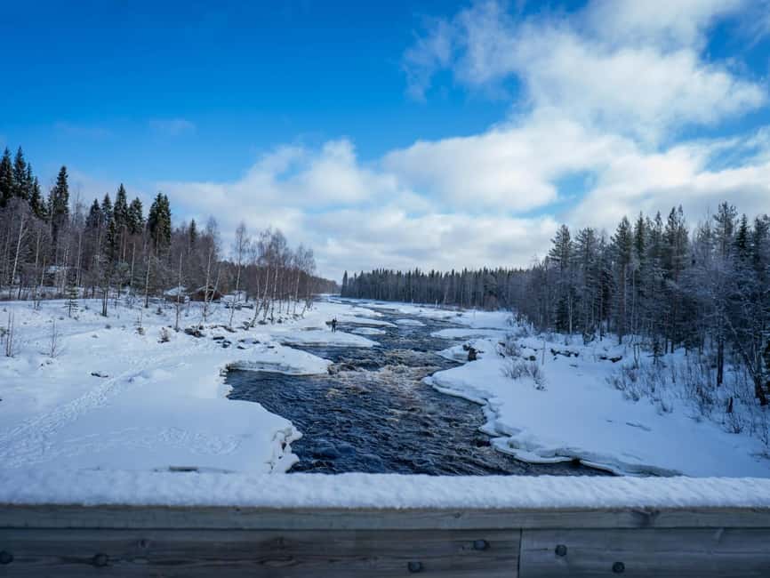 Rovaniemi: Small-Group Snowshoe Tour at Vikaköngäs & BBQ - Small group energy: why max 8 changes everything