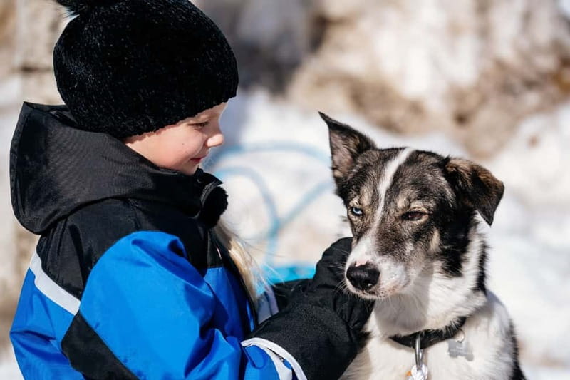 Rovaniemi: Snow Tour with Huskies, Reindeer, & Mini Scooters - A 4-hour family winter playground at Apukka Resort