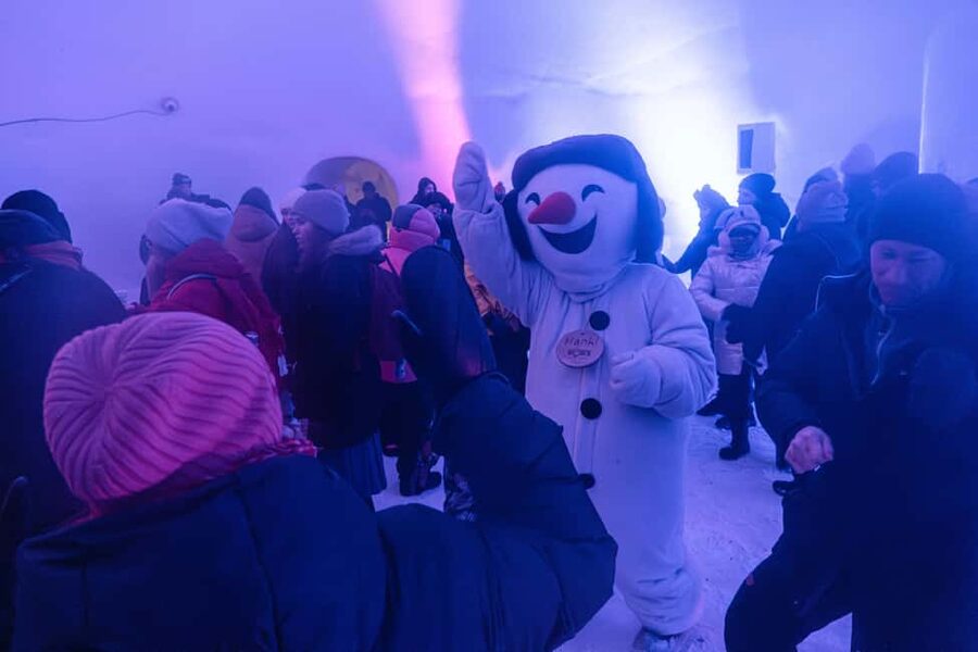 Rovaniemi: Snowman World Entry Ticket in Santa Claus Village - Value Check on a $41 Ticket: When It Feels Worth It and When It Doesn’t