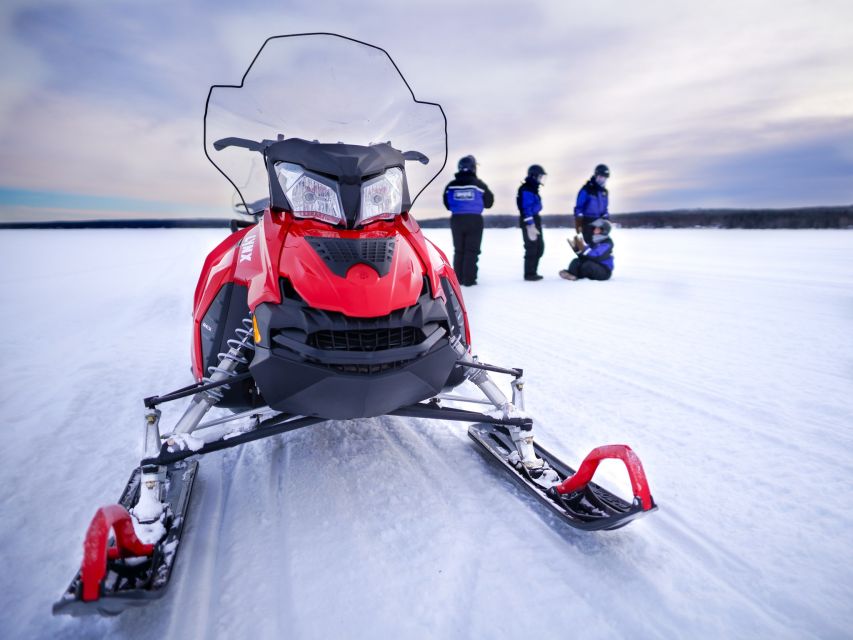 Rovaniemi: Snowmobile Adventure Tour for Adults Only - Forest tracks and frozen-water views, with speed that actually shows up
