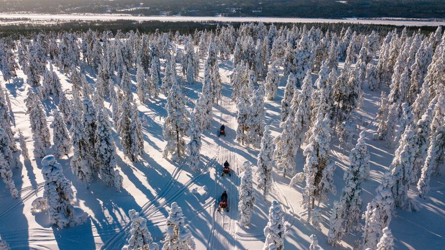 Rovaniemi: Snowmobile Adventure Tour for Adults Only - Price and value, why $210 can feel fair for the right person