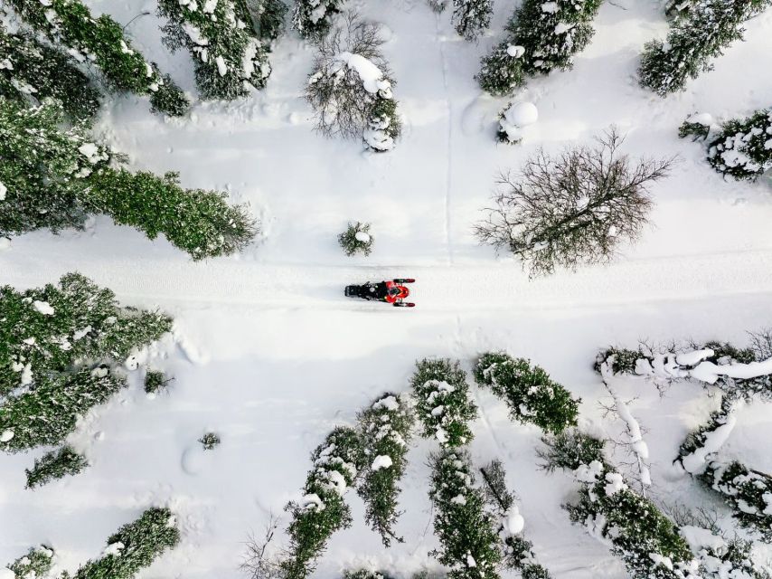 Rovaniemi: Snowmobile Safari Adventure - Why This Rovaniemi Snowmobile Safari Feels Like Real Winter Adventure