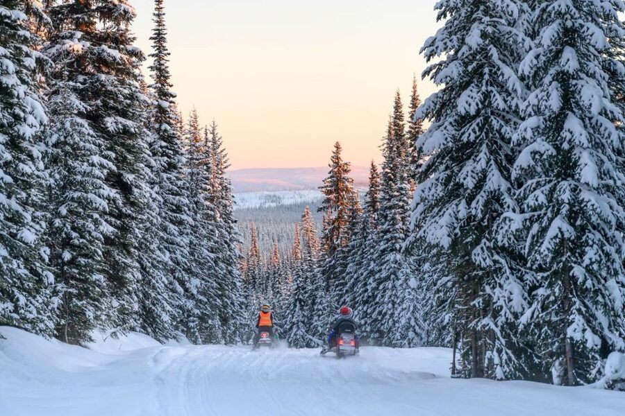 Rovaniemi: Snowmobile Safari Adventure - Price and Value: Is $93 Worth It?